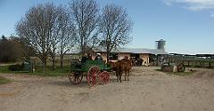 090809_San_Ceferino 018